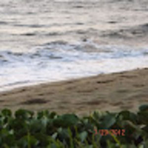 Meet your Posher, Karin